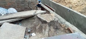 नाला निर्माण के कारण हरे वृक्षों को काटा