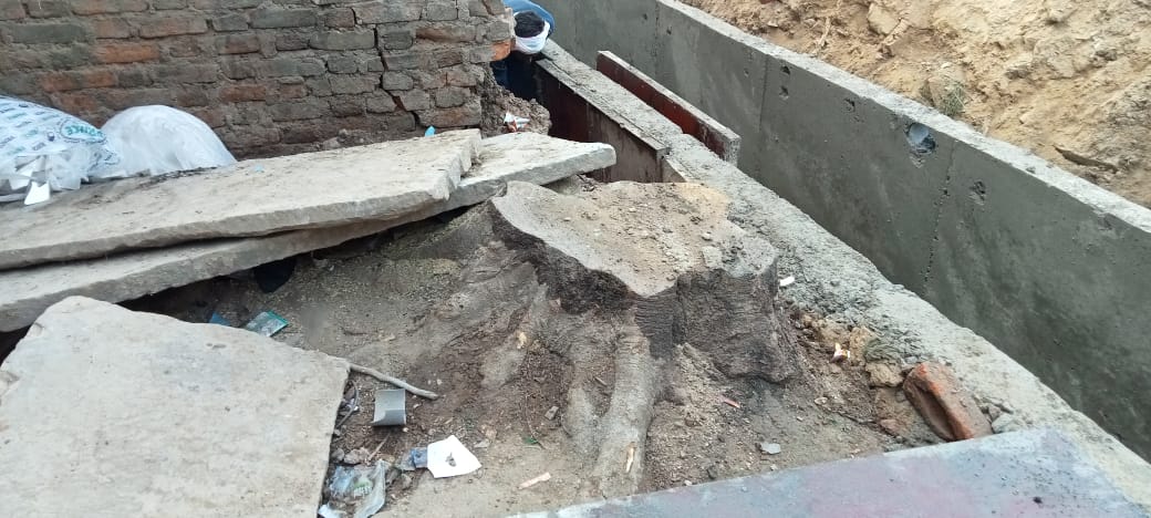 नाला निर्माण के कारण हरे वृक्षों को काटा